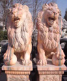 2 lions aves balle