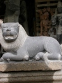 Lion Pallava