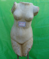 Torse nu f�minin