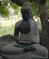 Bouddha assis Bouddha assis